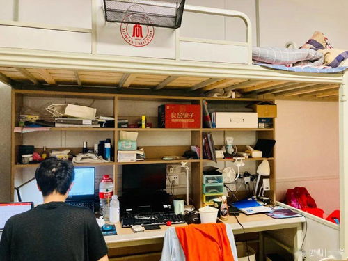 川大望江华西老旧宿舍焕新颜 数字动画绘就未来宜居新画卷